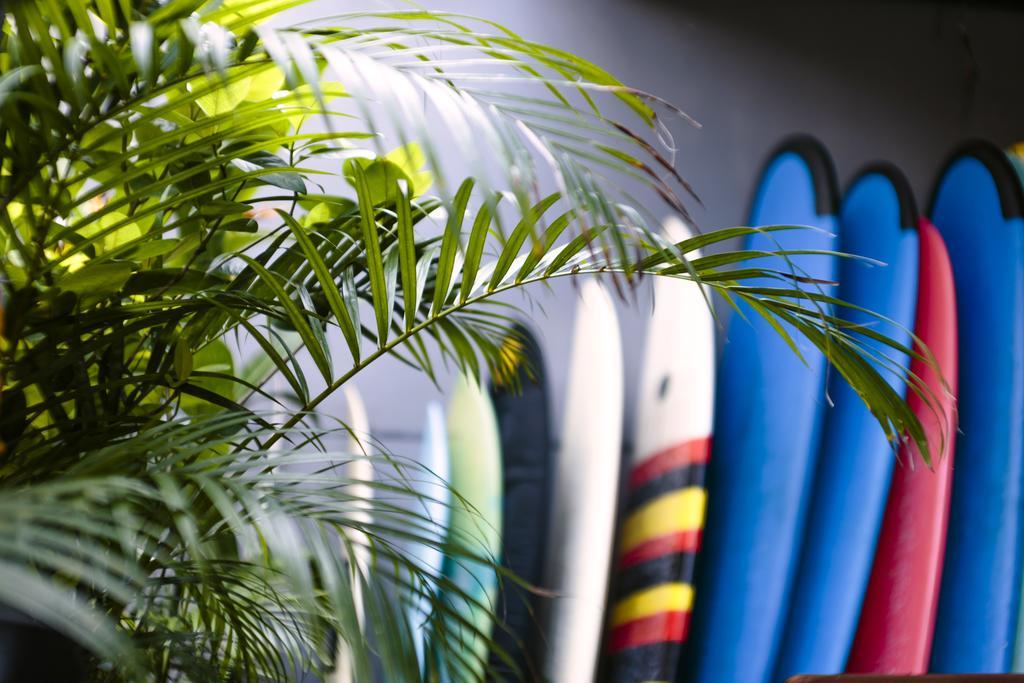 Surfers House *