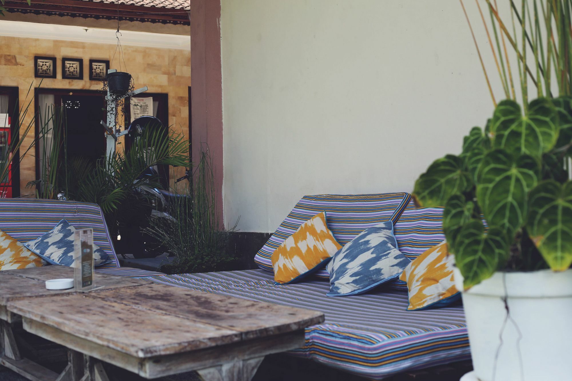 Surfers House Kuta (Bali)